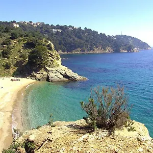  Appartement Ti Sable Climatisé, Jolie Vue Mer, Piscine à Sur France